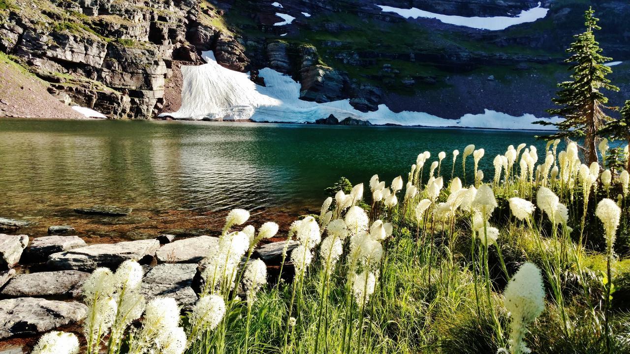 Dancing Bears Inn East Glacier Park Village Екстер'єр фото